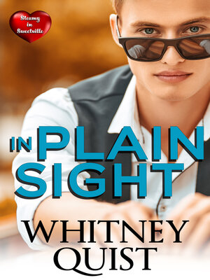 cover image of In Plain Sight